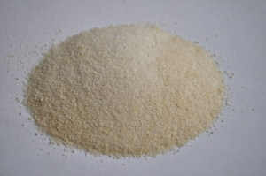 xanthan gum supplier in India